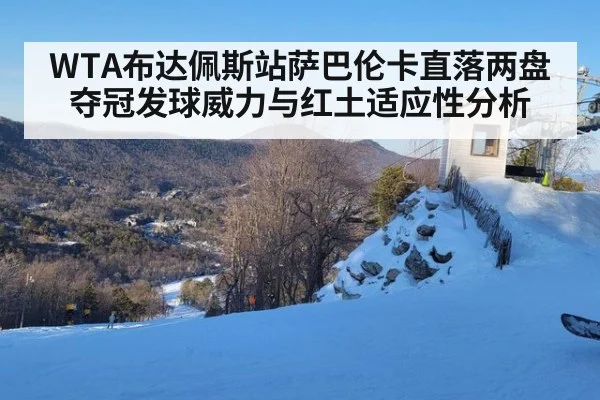 WTA布达佩斯站萨巴伦卡直落两盘夺冠发球威力与红土适应性分析 - nine game